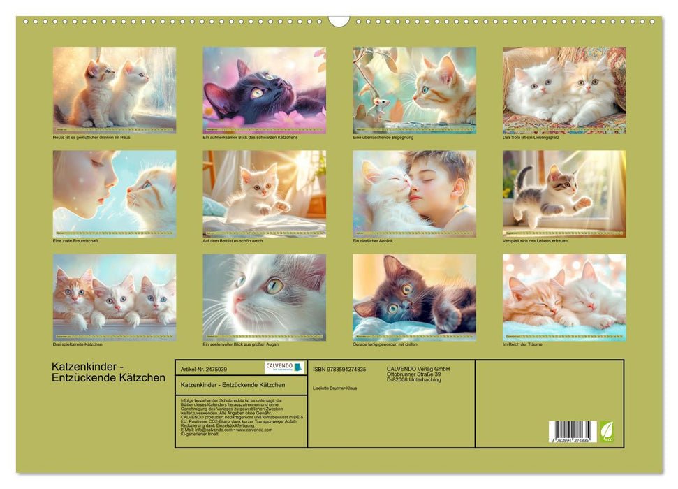 Katzenkinder - Entzückende Kätzchen (CALVENDO Wandkalender 2027)