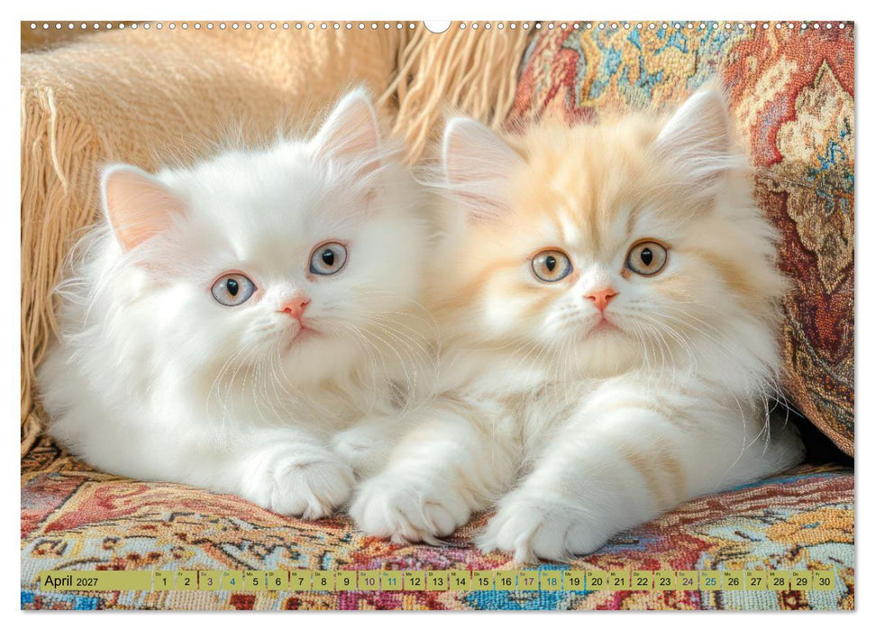 Katzenkinder - Entzückende Kätzchen (CALVENDO Wandkalender 2027)