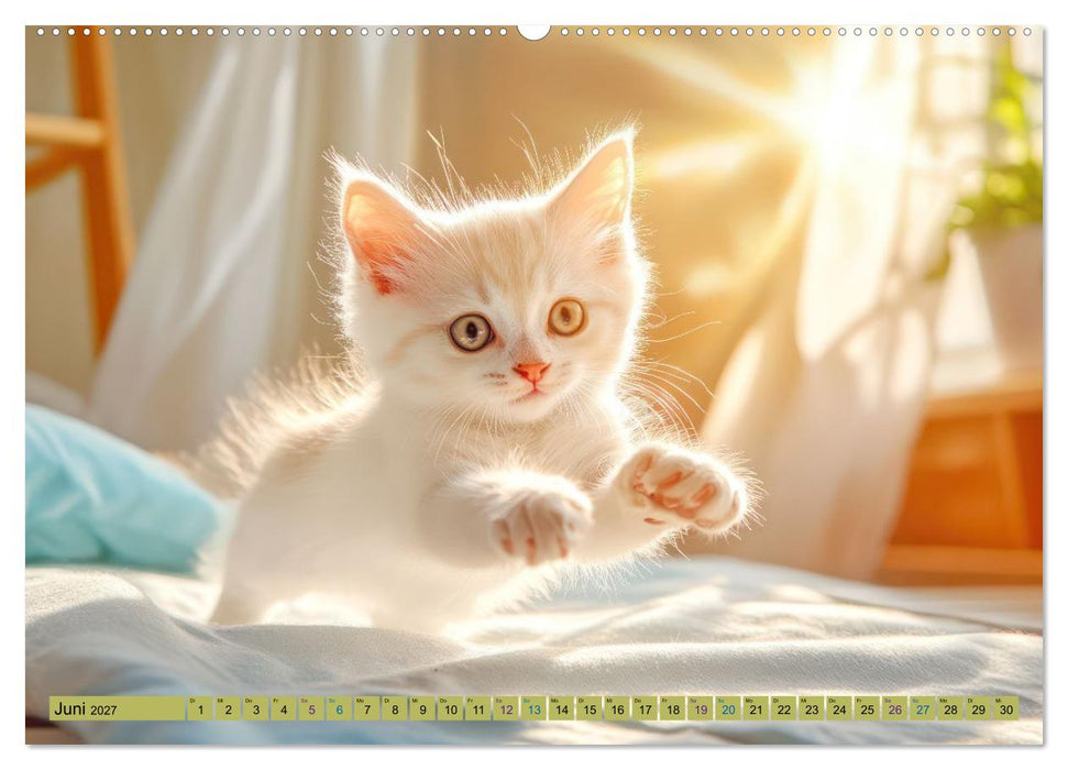 Katzenkinder - Entzückende Kätzchen (CALVENDO Wandkalender 2027)