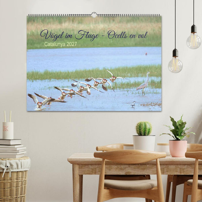 Vögel im Fluge - Ocells en vol (CALVENDO Wandkalender 2027)