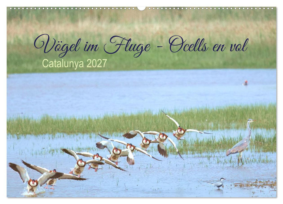 Vögel im Fluge - Ocells en vol (CALVENDO Wandkalender 2027)