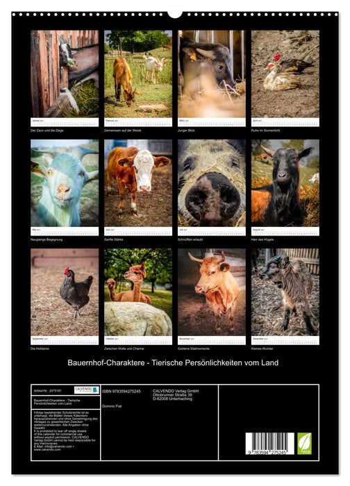 Bauernhof-Charaktere - Tierische Persönlichkeiten vom Land (CALVENDO Premium Wandkalender 2027)