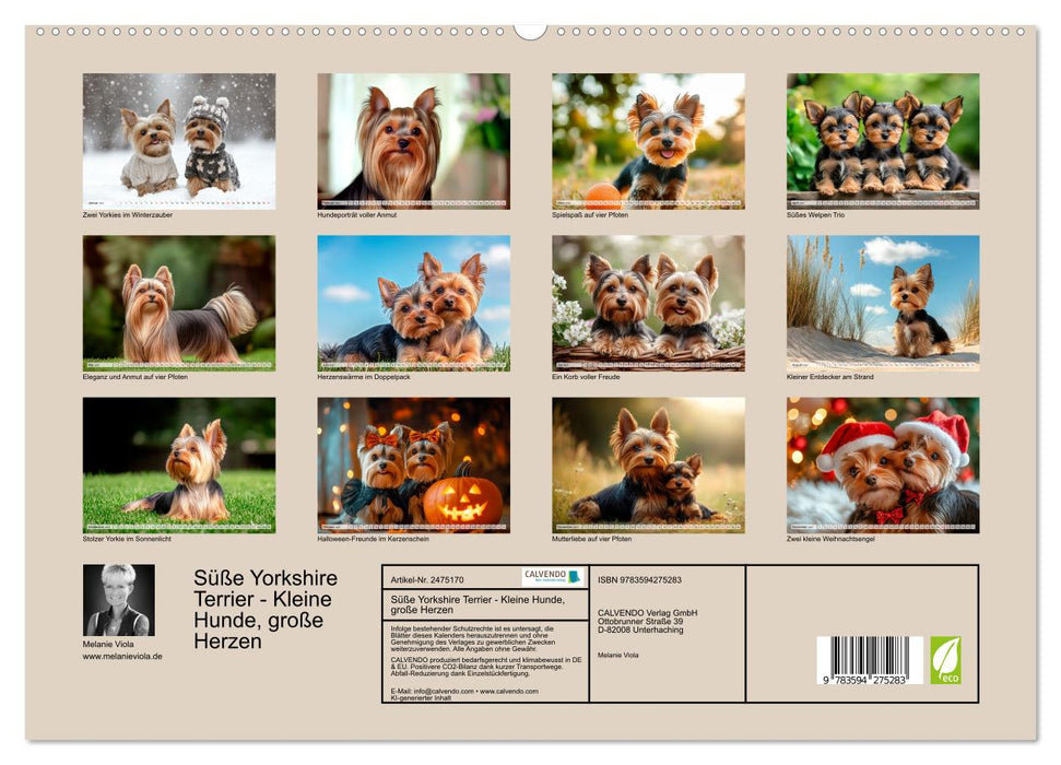 Süße Yorkshire Terrier - Kleine Hunde, große Herzen (CALVENDO Premium Wandkalender 2027)