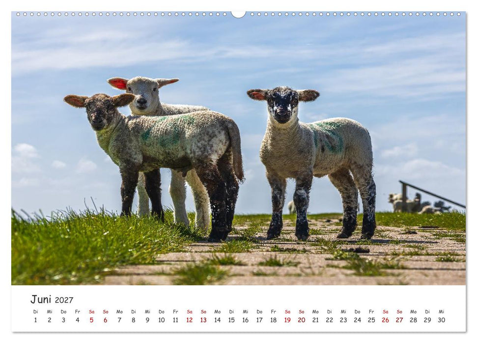 Küstenliebe - Vom Zauber der leisen Küstenmomente (CALVENDO Wandkalender 2027)