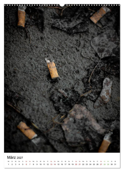 TRASH LIFE – Was die Natur über uns erzählt (CALVENDO Premium Wandkalender 2027)
