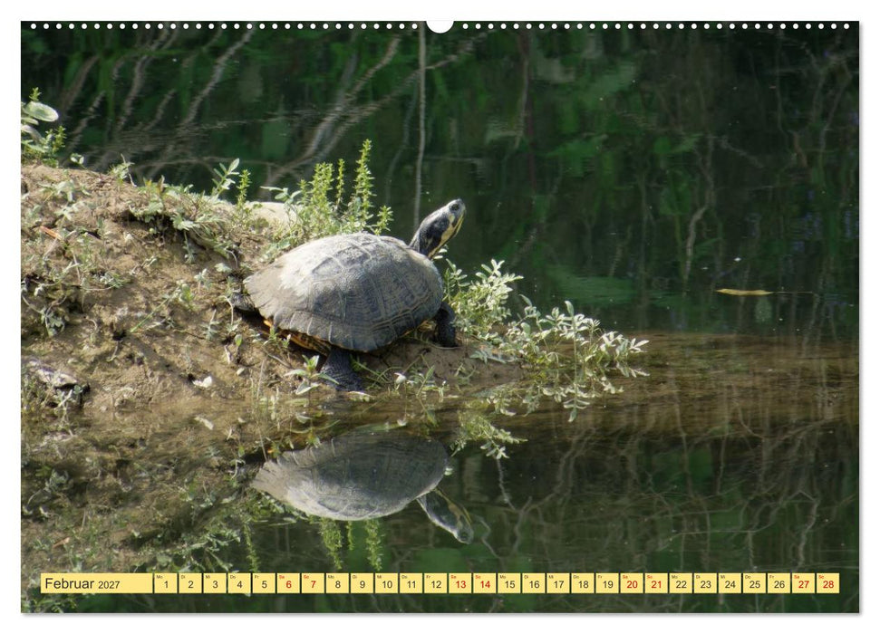 Herrliches Arno Tal - Wanderurlaub in der Toskana (CALVENDO Wandkalender 2027)
