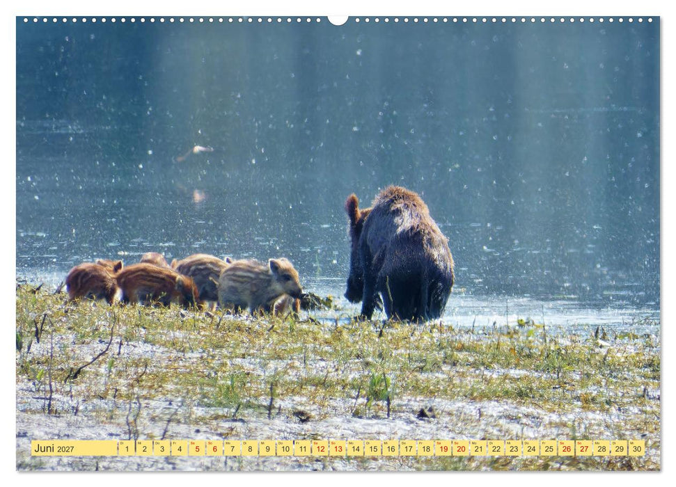 Herrliches Arno Tal - Wanderurlaub in der Toskana (CALVENDO Wandkalender 2027)
