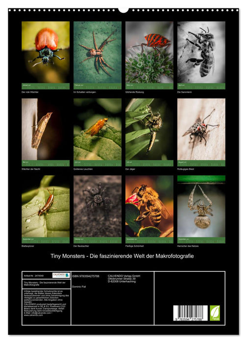 Tiny Monsters - Die faszinierende Welt der Makrofotografie (CALVENDO Premium Wandkalender 2027)