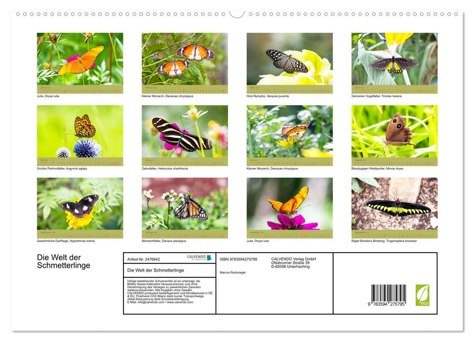 Die Welt der Schmetterlinge (CALVENDO Premium Wandkalender 2027)