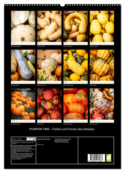 PUMPKIN TIME – Farben und Formen des Herbstes (CALVENDO Premium Wandkalender 2027)