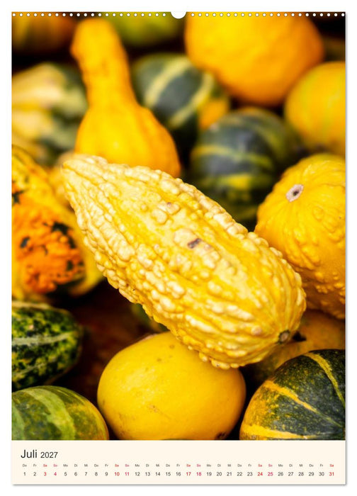 PUMPKIN TIME – Farben und Formen des Herbstes (CALVENDO Premium Wandkalender 2027)