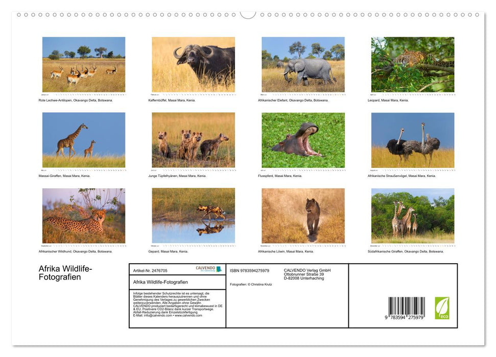 Afrika Wildlife-Fotografien (CALVENDO Premium Wandkalender 2027)