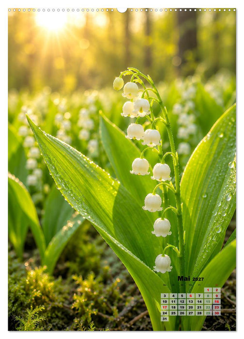 Blumenkalender (CALVENDO Premium Wandkalender 2027)