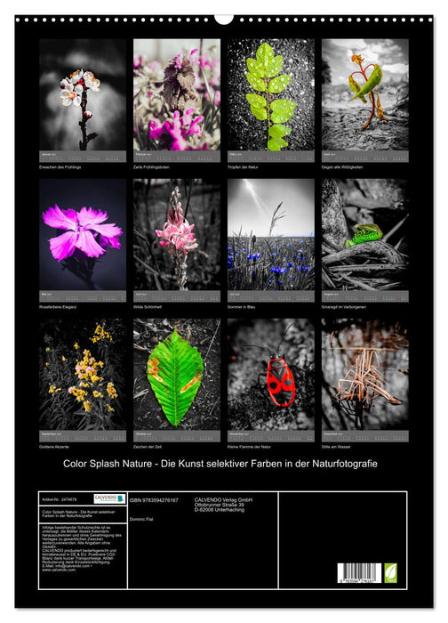Color Splash Nature - Die Kunst selektiver Farben in der Naturfotografie (CALVENDO Wandkalender 2027)