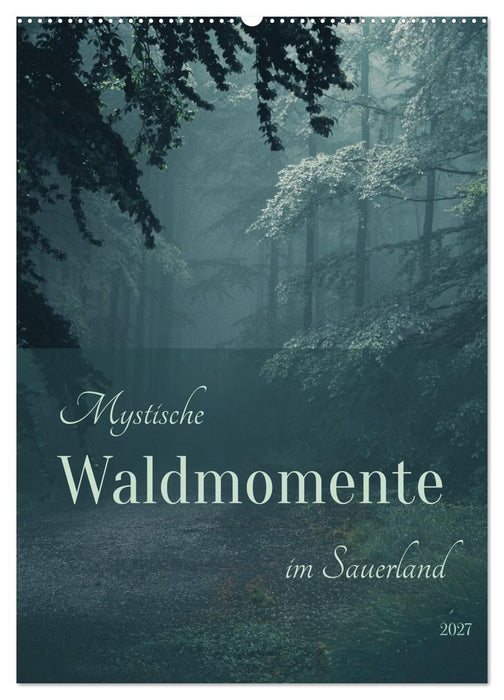 Mystische Waldmomente im Sauerland (CALVENDO Wandkalender 2027)