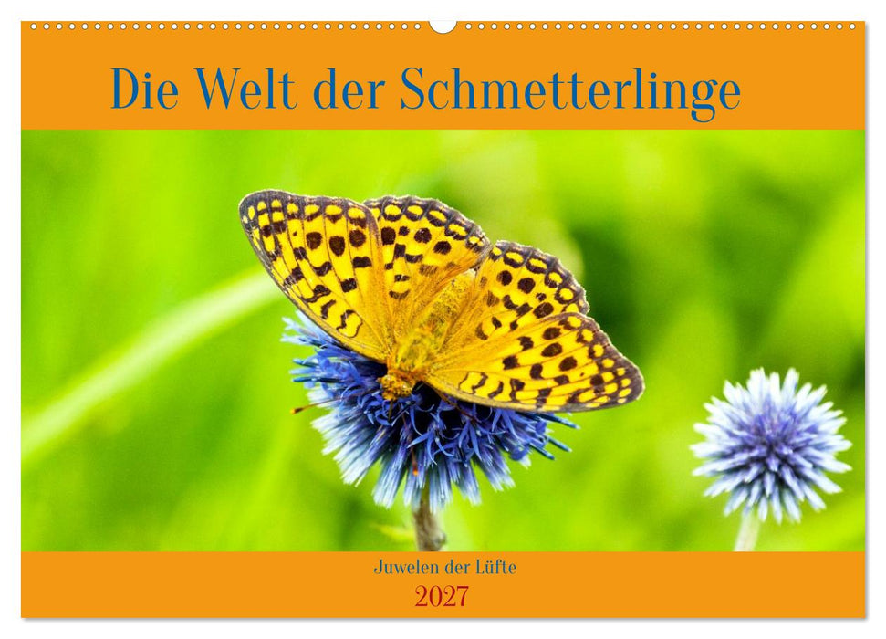 Die Welt der Schmetterlinge (CALVENDO Wandkalender 2027)