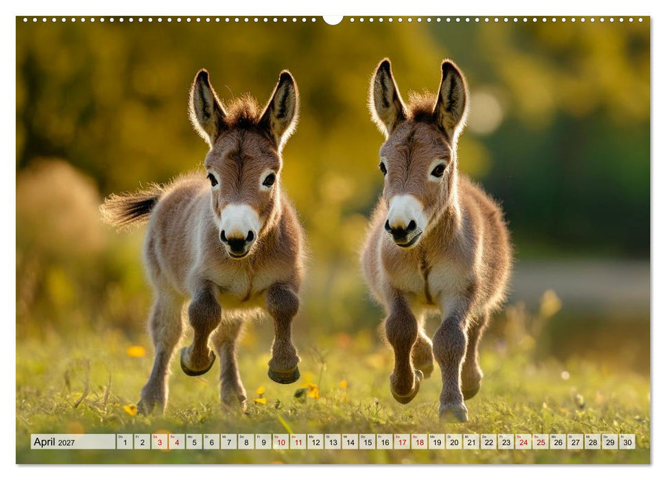 Tierische Freundschaften - Glückliche Kuschelzeit (CALVENDO Wandkalender 2027)