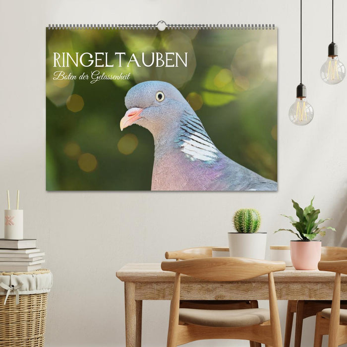 Ringeltauben, Boten der Gelassenheit (CALVENDO Wandkalender 2027)