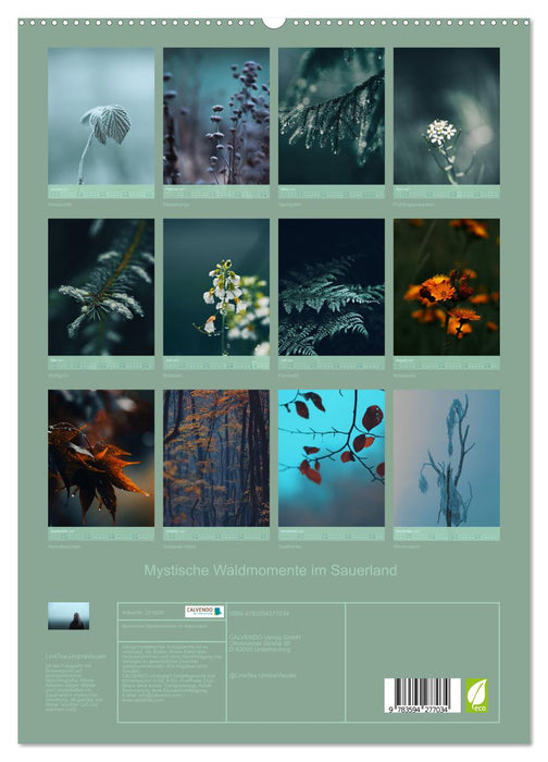 Mystische Waldmomente im Sauerland (CALVENDO Premium Wandkalender 2027)
