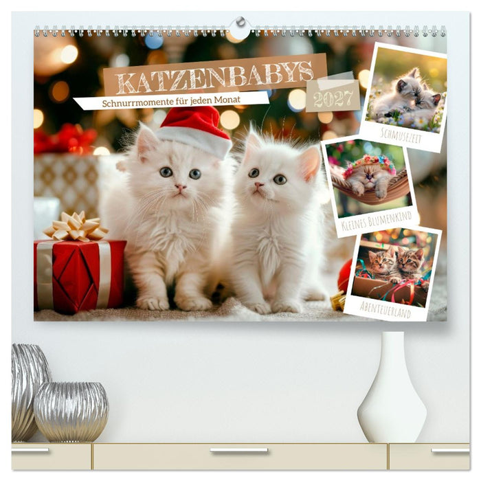 Katzenbabys - Schnurrmomente für jeden Monat (CALVENDO Premium Wandkalender 2027)