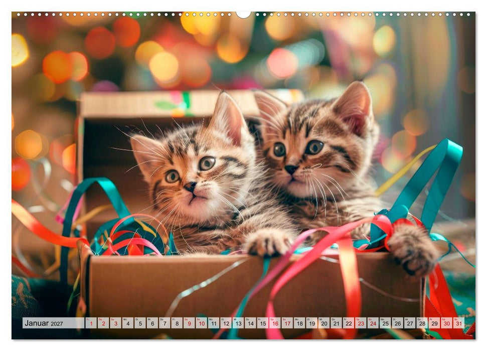 Katzenbabys - Schnurrmomente für jeden Monat (CALVENDO Premium Wandkalender 2027)