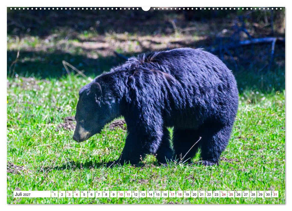 Naturwunder im Nordwesten der USA (CALVENDO Premium Wandkalender 2027)