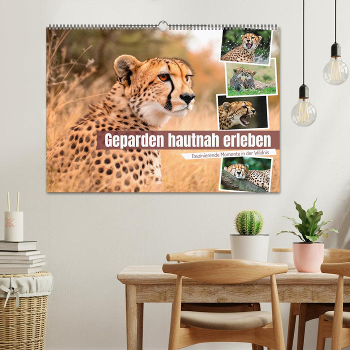 Geparden hautnah erleben (CALVENDO Wandkalender 2027)