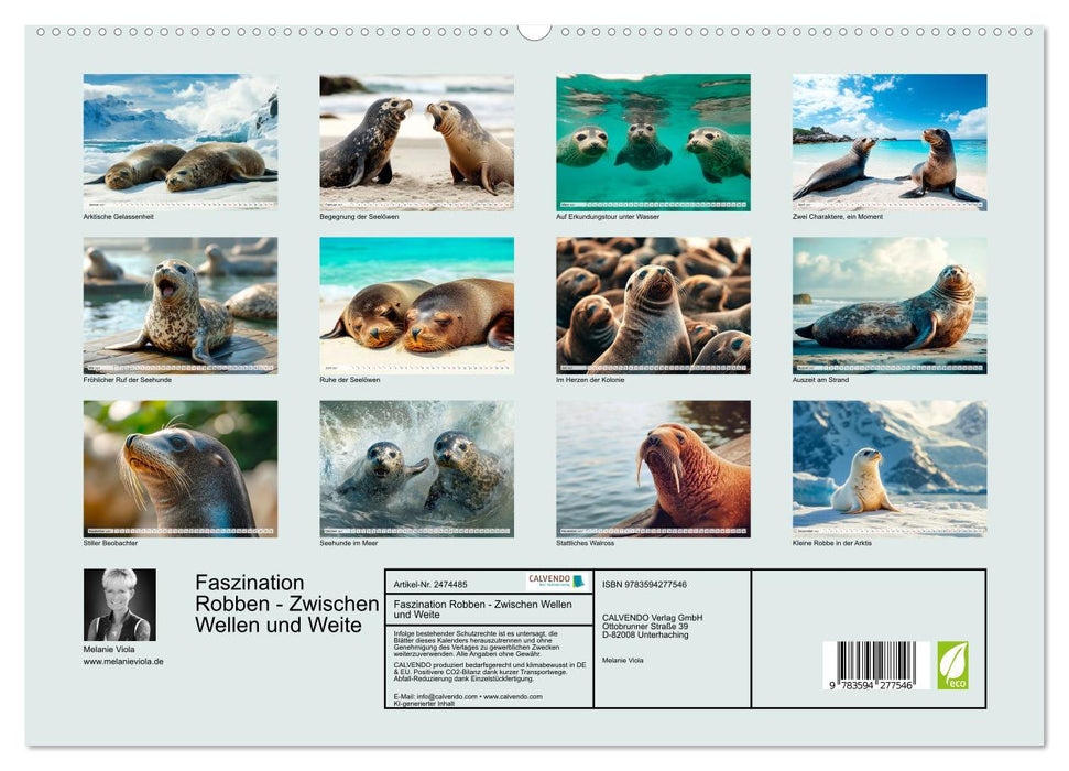 Faszination Robben - Zwischen Wellen und Weite (CALVENDO Wandkalender 2027)