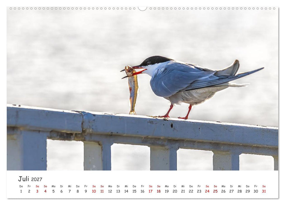 Küstenliebe - Vom Zauber der leisen Küstenmomente (CALVENDO Premium Wandkalender 2027)