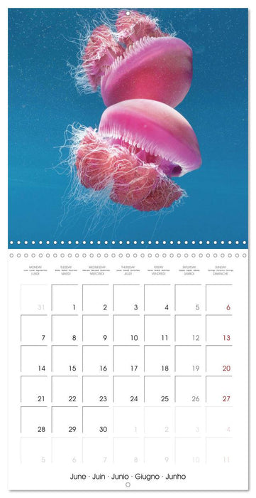 Diving in the deep blue sea (CALVENDO Monthly Calendar 2027)