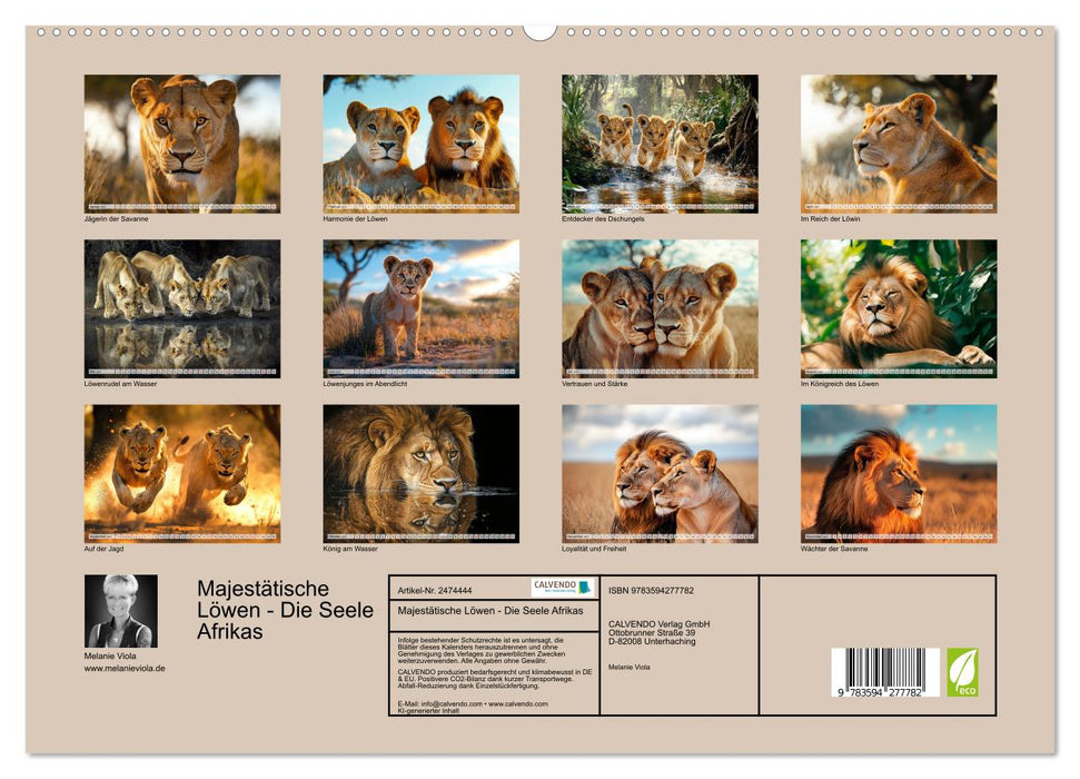 Majestätische Löwen - Die Seele Afrikas (CALVENDO Wandkalender 2027)