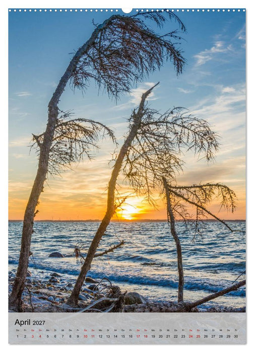 Ostseeküste Schwedeneck (CALVENDO Wandkalender 2027)