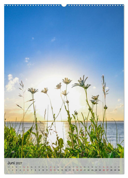 Ostseeküste Schwedeneck (CALVENDO Wandkalender 2027)