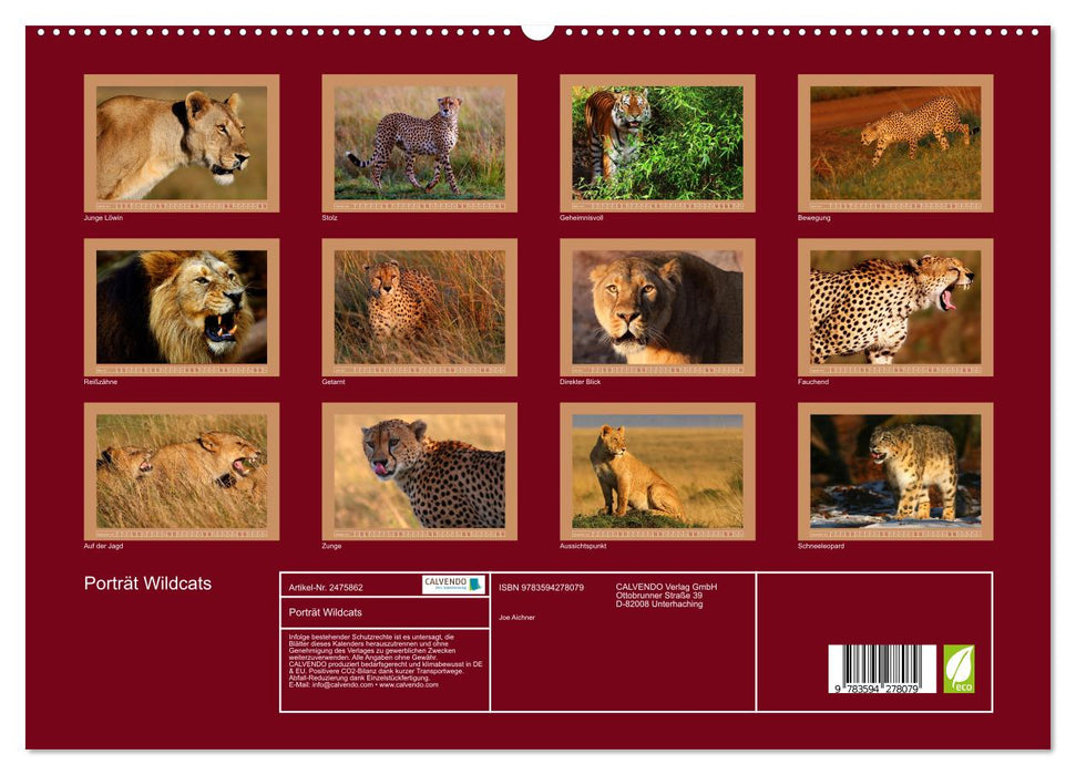 Porträt Wildcats (CALVENDO Premium Wandkalender 2027)