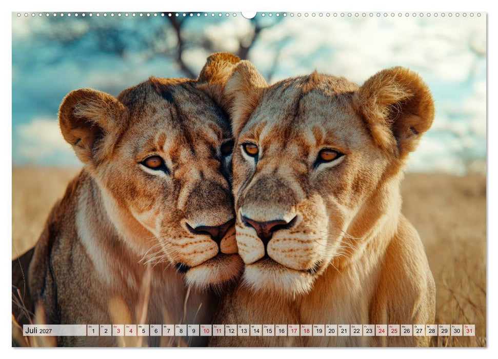 Majestätische Löwen - Die Seele Afrikas (CALVENDO Premium Wandkalender 2027)