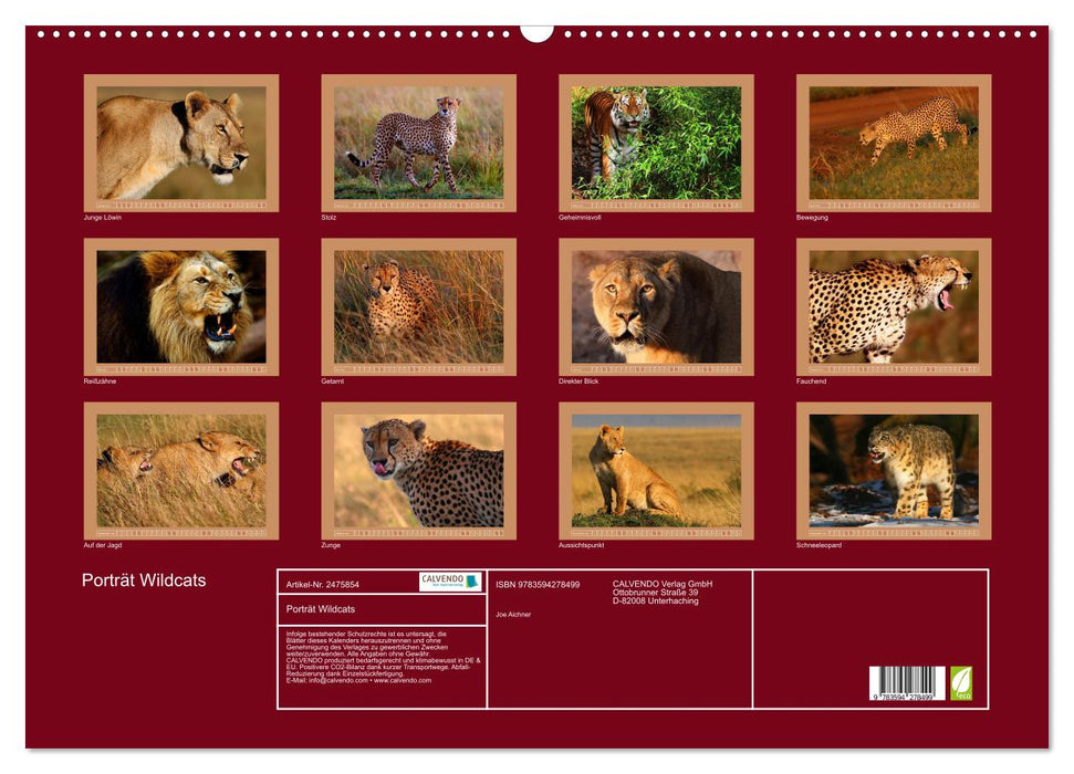 Porträt Wildcats (CALVENDO Wandkalender 2027)