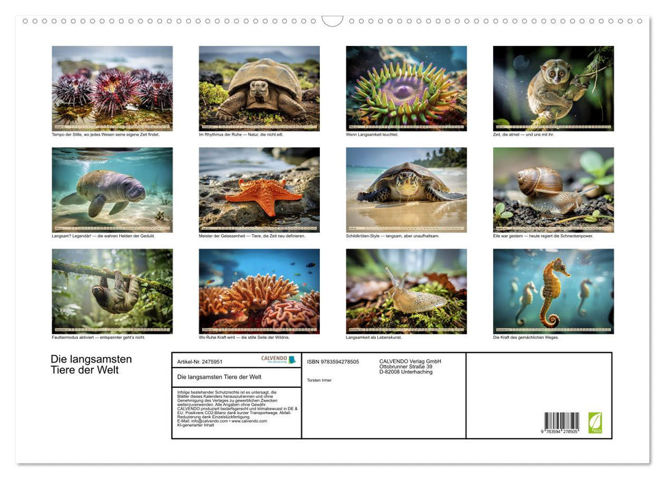 Die langsamsten Tiere der Welt (CALVENDO Wandkalender 2027)