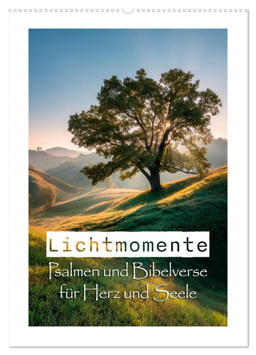 Lichtmomente - Psalmen und Bibelverse für Herz und Seele (CALVENDO Wandkalender 2027)