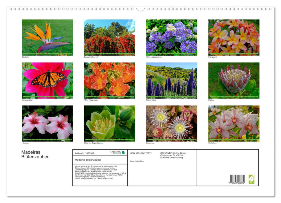 Madeiras Blütenzauber (CALVENDO Wandkalender 2027)