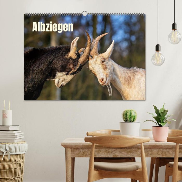 Albziegen (CALVENDO Wandkalender 2027)