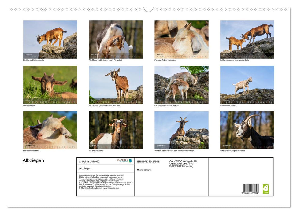 Albziegen (CALVENDO Wandkalender 2027)