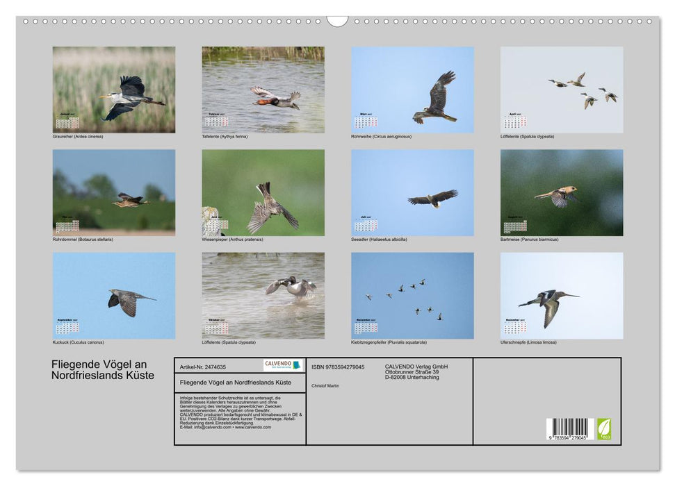 Fliegende Vögel an Nordfrieslands Küste (CALVENDO Wandkalender 2027)