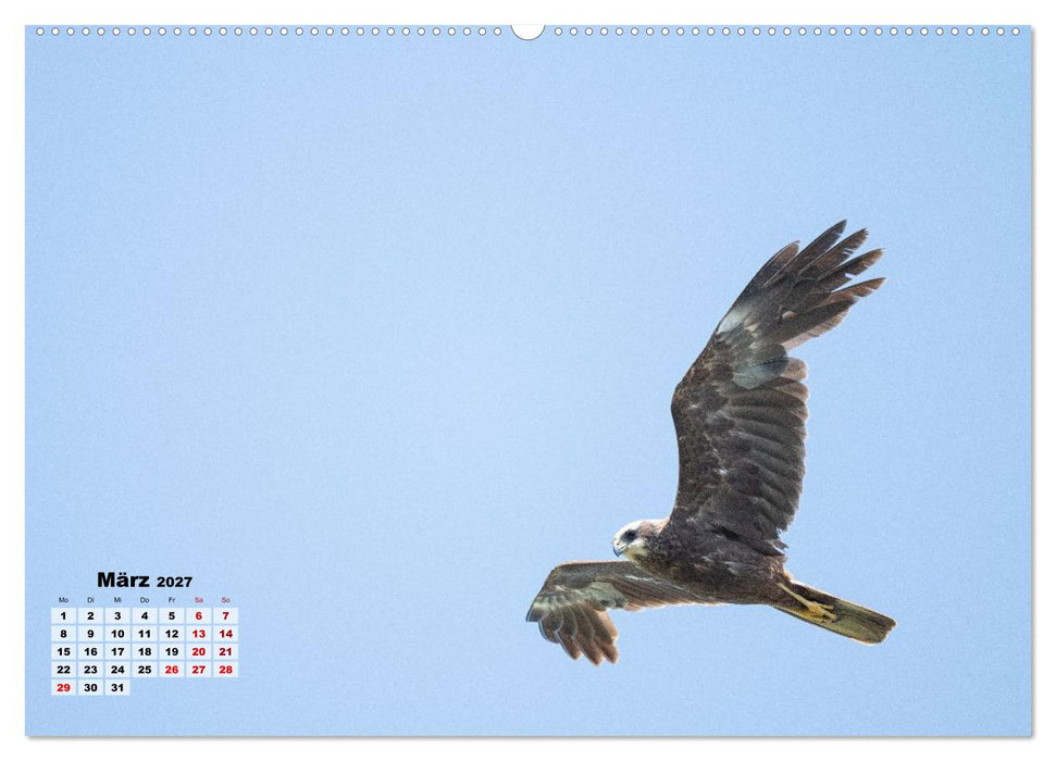 Fliegende Vögel an Nordfrieslands Küste (CALVENDO Wandkalender 2027)