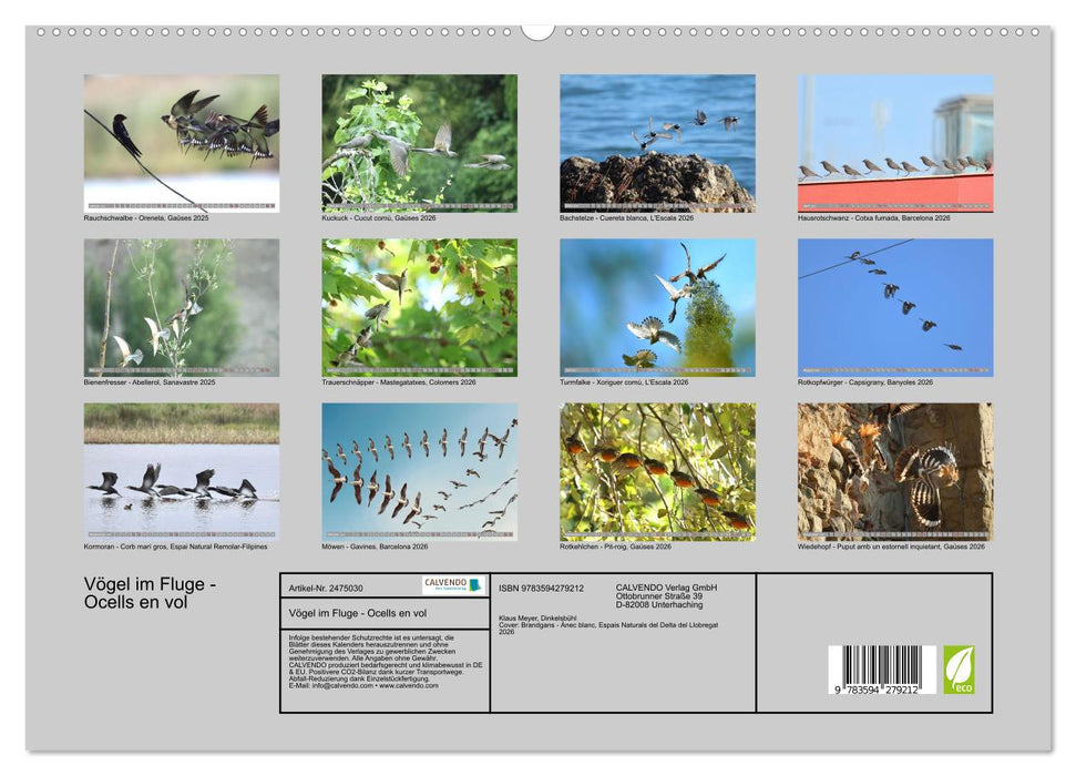 Vögel im Fluge - Ocells en vol (CALVENDO Premium Wandkalender 2027)