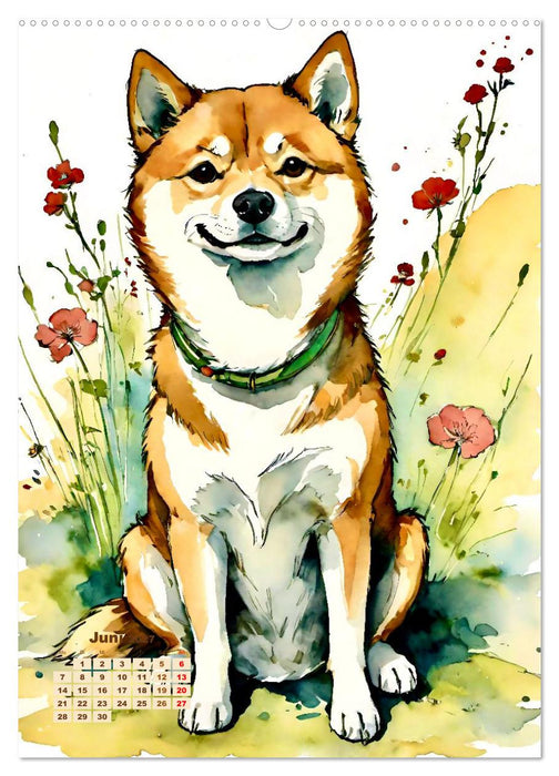 Der Shiba Inu (CALVENDO Wandkalender 2027)
