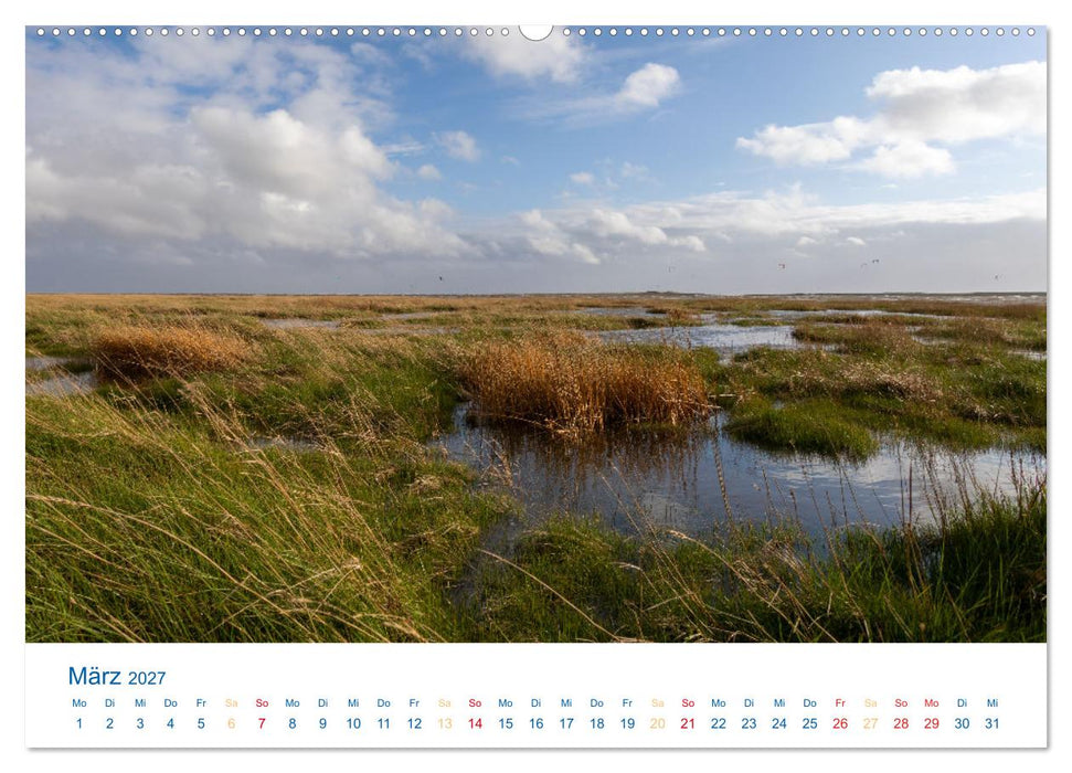 Sankt Peter-Ording - Strände, Dünen, Weite (CALVENDO Wandkalender 2027)