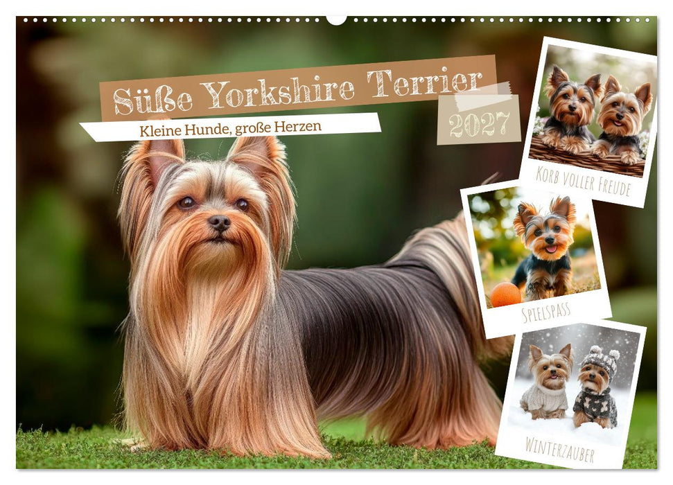 Süße Yorkshire Terrier - Kleine Hunde, große Herzen (CALVENDO Wandkalender 2027)