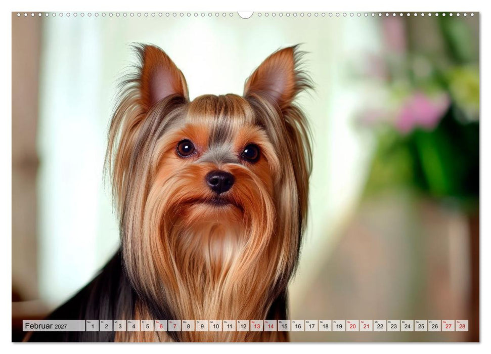 Süße Yorkshire Terrier - Kleine Hunde, große Herzen (CALVENDO Wandkalender 2027)