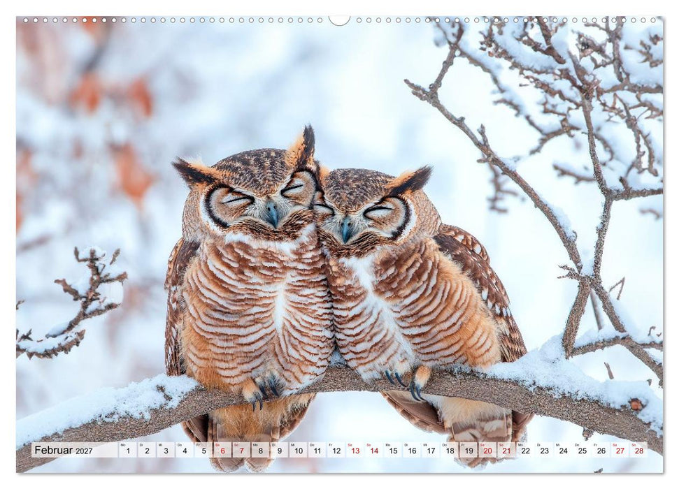 Tierische Freundschaften - Glückliche Kuschelzeit (CALVENDO Premium Wandkalender 2027)