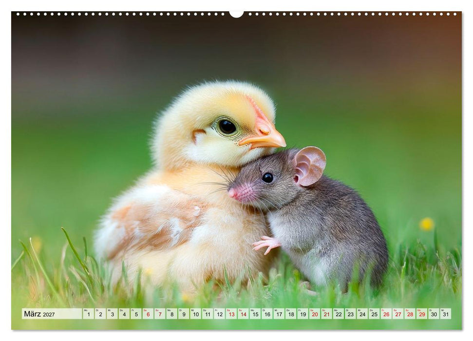 Tierische Freundschaften - Glückliche Kuschelzeit (CALVENDO Premium Wandkalender 2027)